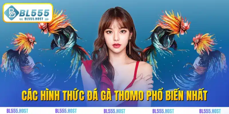Các hình thức đá gà thomo phổ biến nhất