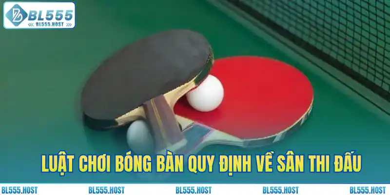 Luật chơi bóng bàn quy định về sân thi đấu