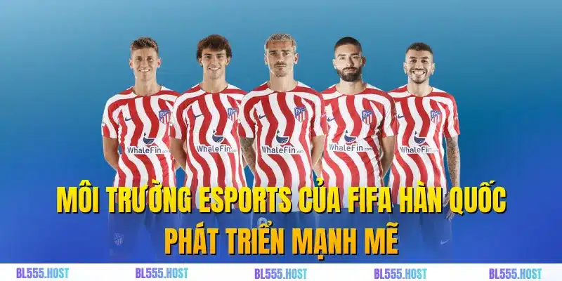 Môi trường esports của Fifa Hàn Quốc phát triển mạnh mẽ